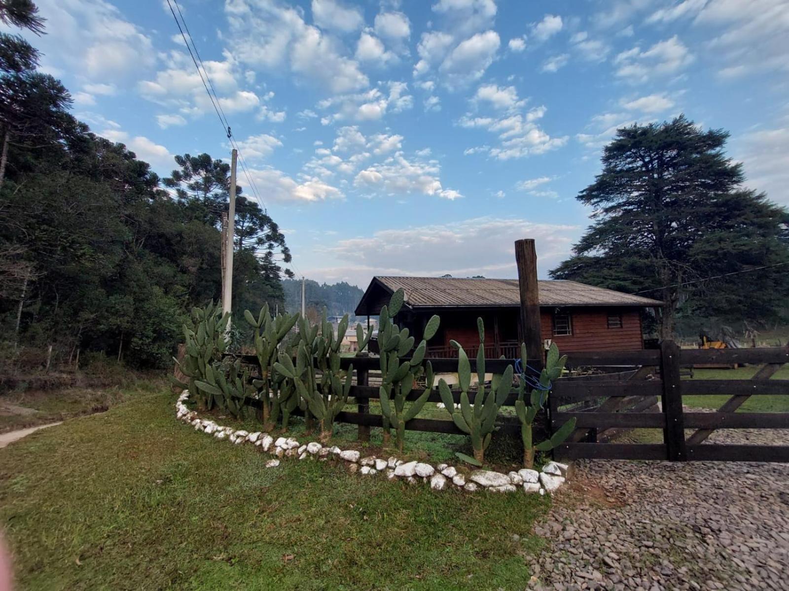 Cabanas Leao Da Tribo De Juda Canela Exterior foto